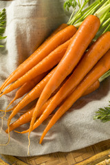 Raw Organic Fresh Orange Carrots
