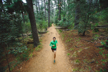 Fit active man running a trail through a forest