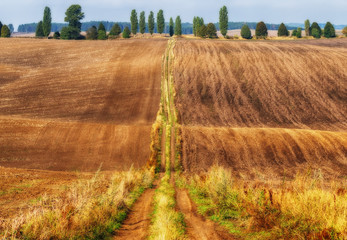 Hilly field