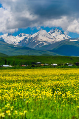 Fototapeta premium Beautiful view of Mount Aragats, Armenia