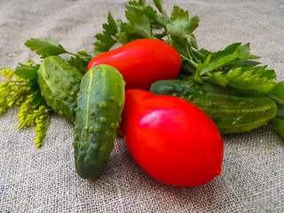 Cucumbers and tomatoes together with a green on the table.

