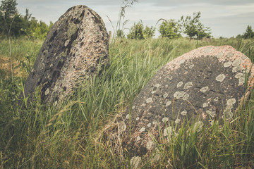 Old Jewish tombstones overgrown with grass