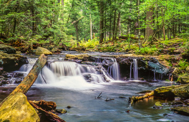 Ricketts Glen harbors Glens Natural Area