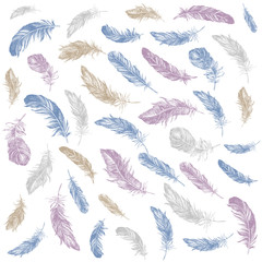 Feather Pattern