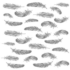 Feather Pattern