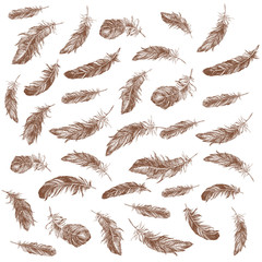 Feather Pattern