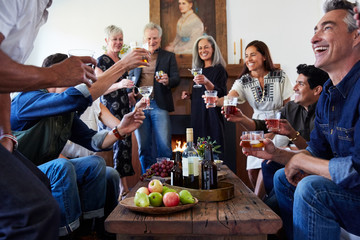 Group of friends and family having a cocktail party in their home