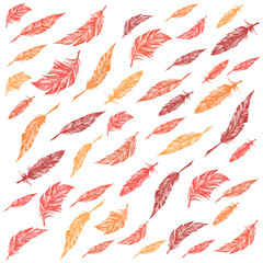 Feather Pattern