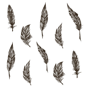 Feather Pattern
