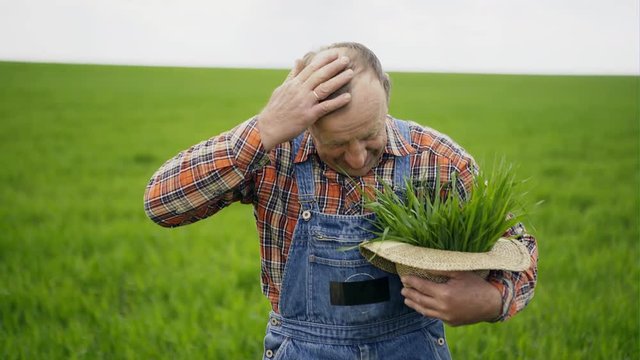 Smiling farmer with seedlings in hat