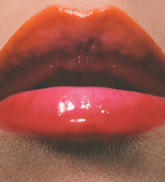 Glossy Lips