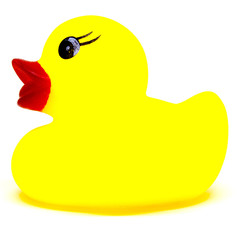 Rubber duck yellow toy for swimming isolated on white background