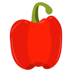 Isolated pepper on a white background, Vector illustration