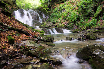 Fototapeta premium Mountain river