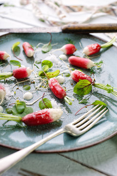 Buttered radish salad with fenugreek sprouts and red vein sorrel and a watercress sauce Side view
