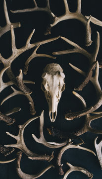 sheds