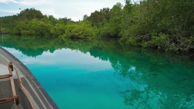 Hidden Bay, boat moving over blue shallow water, mangrove reflection on calm surface, Raja Ampat, West Papua, Indonesia