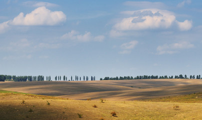 Obraz premium Cloudy sky