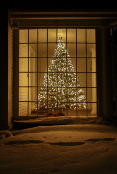 Christmas Tree In Porch Window