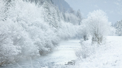 Winter river with snow covered nature
