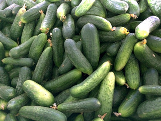 Fresh cucumber background