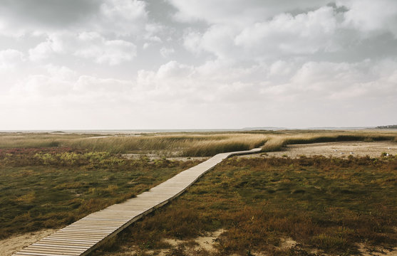 Boardwalk to Beach Cape Cod Massachusetts