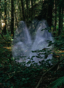 Family of Halloween ghosts in the woods