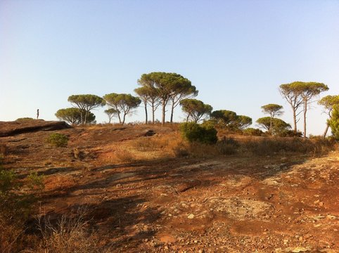 Plaines des Maures