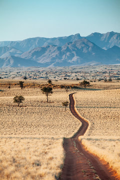 Winding desert track in Namibia