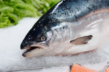 Salmon on ice in supermarket