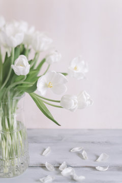tulips bouquet in closeup
