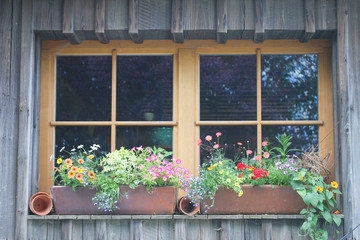 Fototapeta na wymiar balkonpflanzen an ländlichem Haus