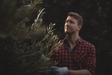 Jeune homme debout par olivier à la ferme