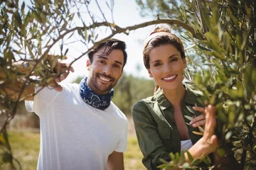 Photo sur Plexiglas Olivier Portrait of smiling couple holding olive tree at farm