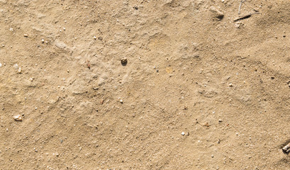 rocky summer beach sand texture