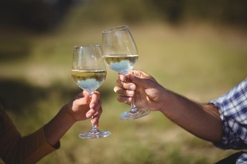 Cropped image of couple toasting wineglasses