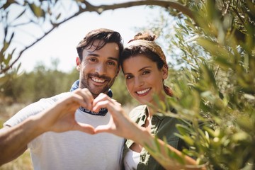 Smiling couple making heart shape by trees at olive farm