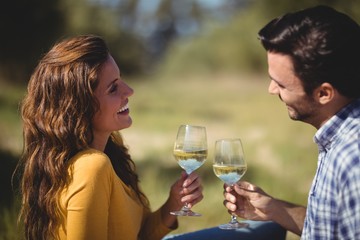 Happy young couple toasting wineglasses