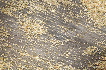 Amaranth seeds on the wooden table (Amaranthus)