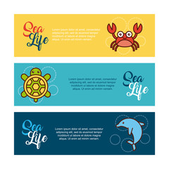 sea life flat draw icon vector illustration design graphic