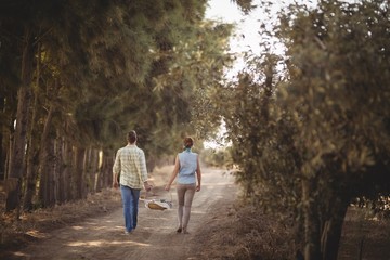 Fototapeta premium Couple carrying basket while walking on dirt road at farm