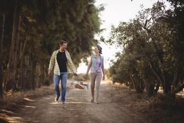 Obraz premium Cheerful couple carrying basket while walking 