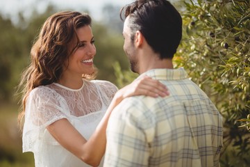Fototapeta premium Young couple by olive tree on sunny day at farm