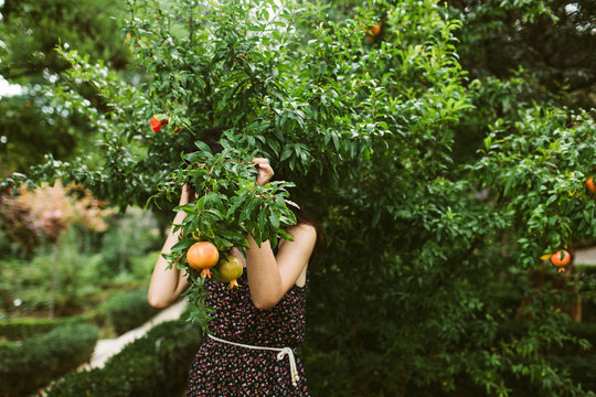 Young woman behind leaves of pomegranate tree