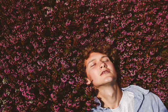 High angle view of young man relaxing on flower bed