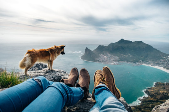 leather shoes and jeans of a relaxed hiking couple sitting at a mountain top with their dog