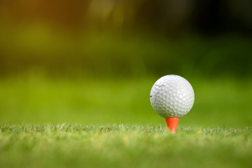 Golf balls and golf club on green grass