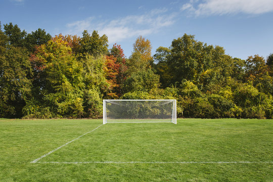 Empty goalpost on field against trees on sunny day
