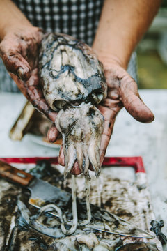 Man preparing raw cuttlefish for cooking