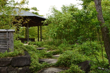 Naklejka premium 日本庭園